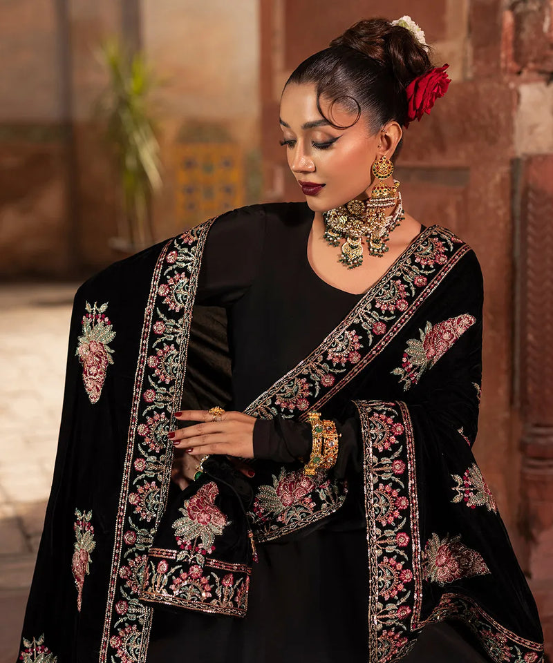 Kumari Shawl