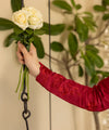 Gul Mehr